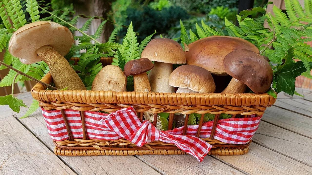Casa De La Panaderia Konuk evi Los Navalucillos Dış mekan fotoğraf